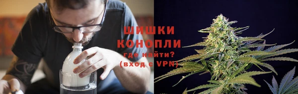 mdpv Белокуриха