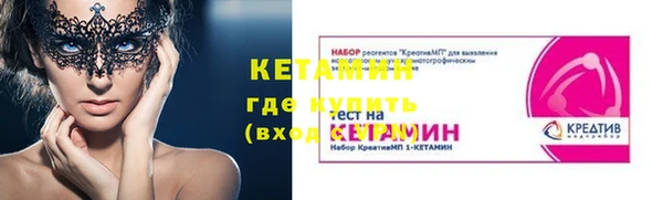 индика Сосновка