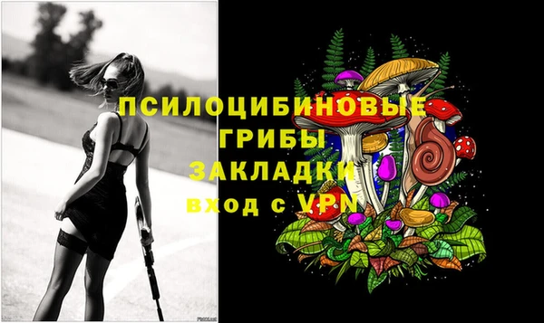 мдпв Беломорск