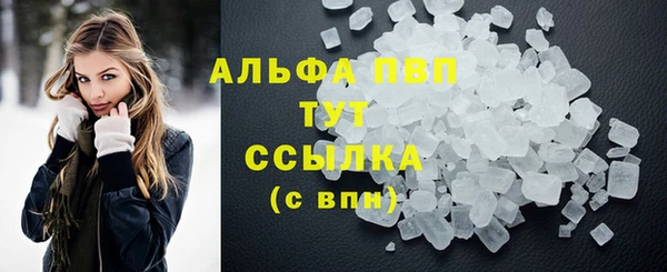 гидра Сосновый Бор