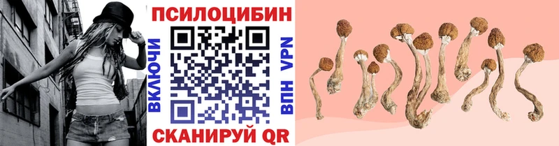 где продают наркотики  Строитель  нарко площадка Telegram  Псилоцибиновые грибы прущие грибы  blacksprut зеркало 