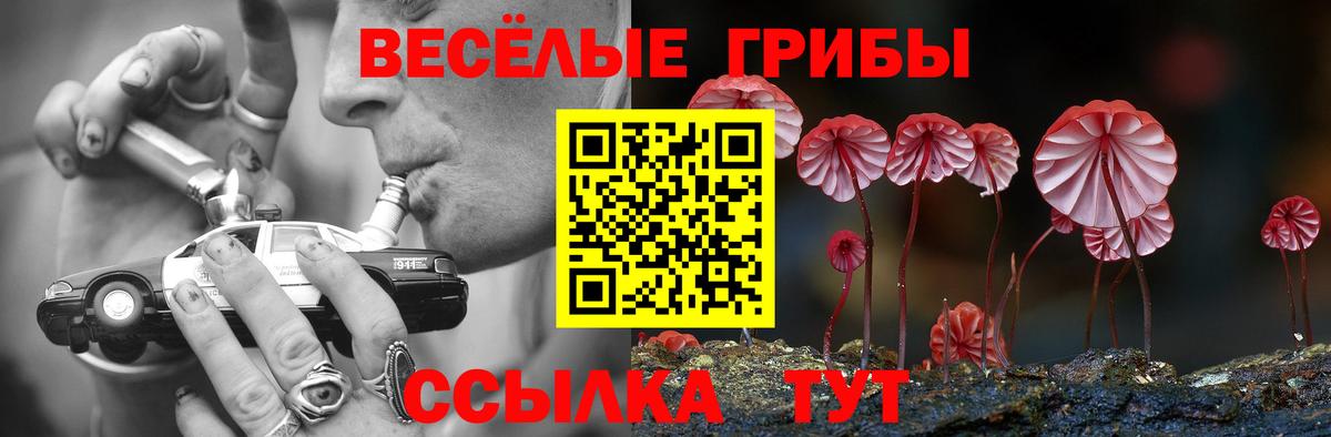Псилоцибиновые грибы GOLDEN TEACHER Строитель