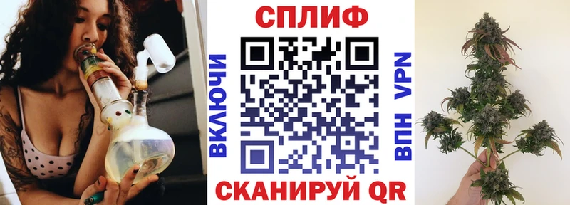 mega ТОР  Строитель  Конопля гибрид 