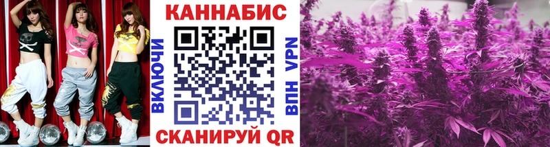 Бошки Шишки VHQ Строитель